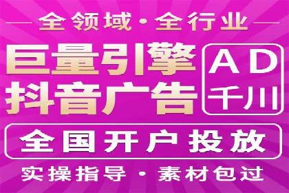 电商平台信息流广告的投放策略与效果评估案例